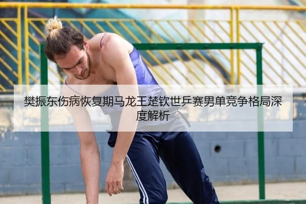 樊振东伤病恢复期马龙王楚钦世乒赛男单竞争格局深度解析