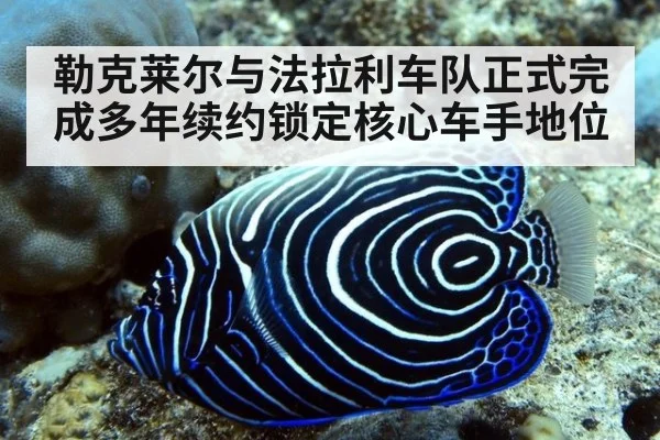勒克莱尔与法拉利车队正式完成多年续约锁定核心车手地位